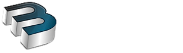 B. M. Srl – Brunitura Torino Logo
